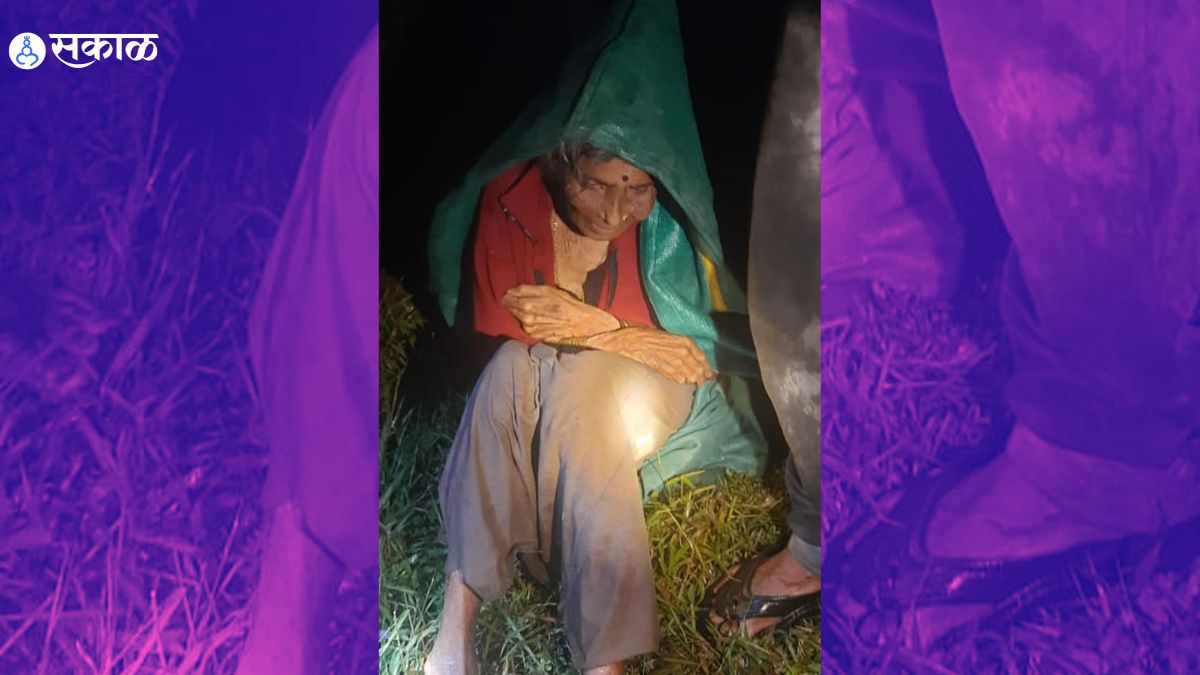 ८५ वर्षीय महिला जंगलात झाली बेपत्ता; अन्नाविना दोन रात्रींचा थरार अन् असा लागला शोध