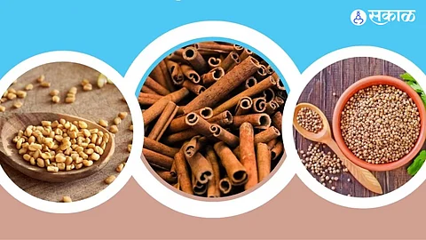 Diabetes Diet: या औषधी वनस्पती मधुमेहावर नियंत्रण ठेवण्यास करू शकतात मदत