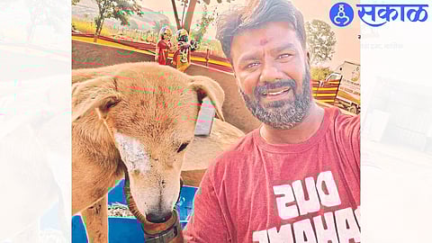 Animal friend Purushottam Awhad with the dog that has recovered after the operation