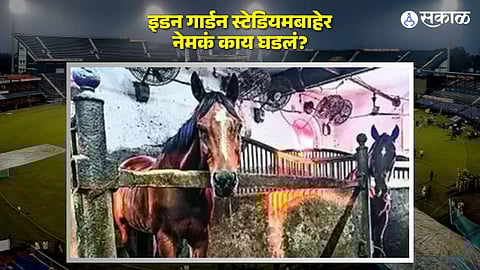 a horse died due to a heart attack