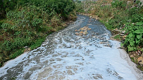 Water Pollution : इंद्रायणीच्या पाण्यात ऑक्सिजनचे प्रमाण शून्य; नदी प्रदूषित करणारे मोकाटच