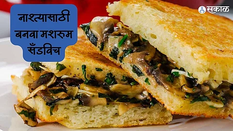 Mushroom Sandwich