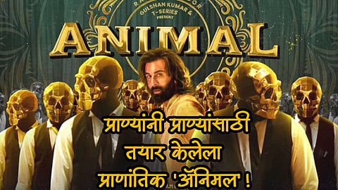 Animal Trailer release Ranbir Kapoor action sequence :