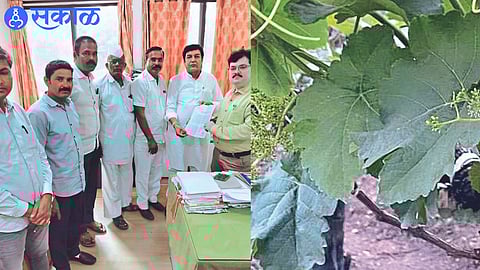 Ash from thermal center affected radius of 5 km nashik news