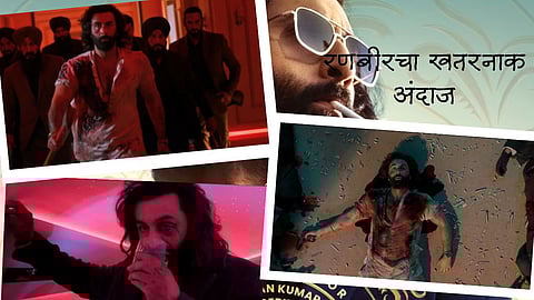 Animal Song Arjan Vailly: