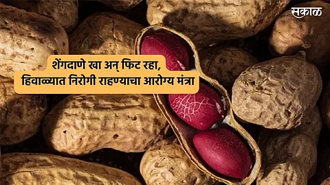 Peanut For Health :  शेंगदाणे खा अन् फिट रहा, हिवाळ्यात निरोगी राहण्याचा आरोग्य मंत्रा 
