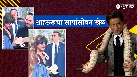 Shah Rukh Khan playing with snakes at Isha Ambani’s twins’ birthday party; video viral