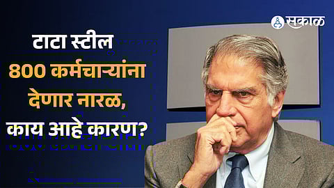 Tata Steel To Layoff 800 Employees In Netherlands To Improve Market Position, Reduce Costs