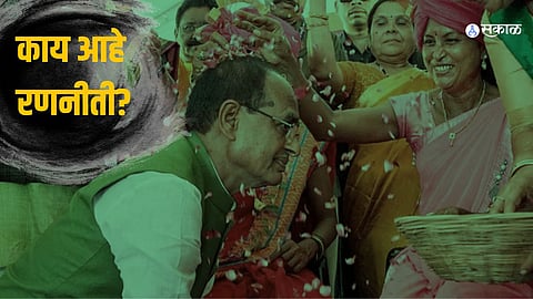 MP Assembly Election