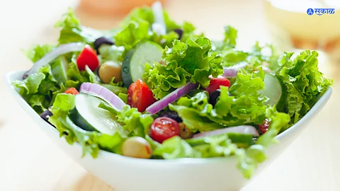 Green Salad Benefits : हिवाळ्यात Green Salad  खाण्याचे आरोग्यदायी फायदे माहित आहेत का?