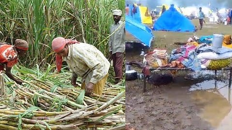 Heavy Rain in Karad Patan