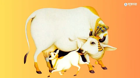 Vasubaras 2023