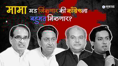 MP Assembly Election