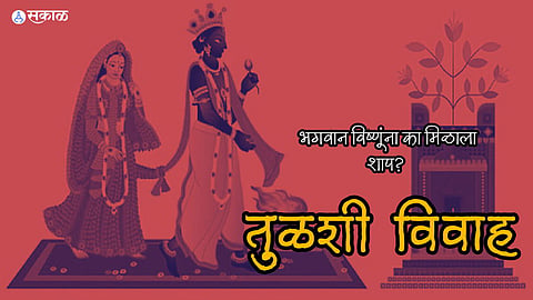 Tulasi Vivah:  तुळस नेमकी आहे तरी कोण आणि ती भगवंतांला इतकी प्रिय का? जाणून घ्या तुळशी विवाहाची कथा 