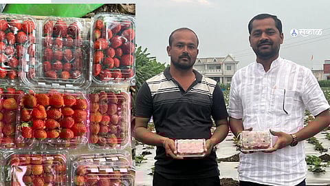 bhushan patil karmala