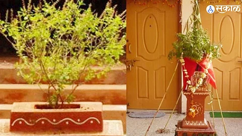 Tulsi Vivah