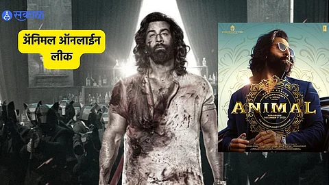 Animal full HD movie leaked online: