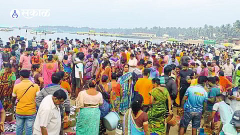 Fish Market Malvan