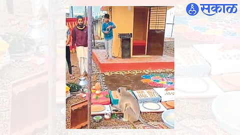 monkey came during inauguration of Hanuman temple.