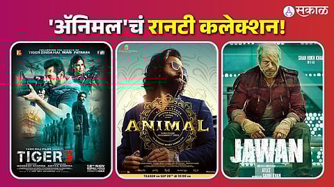 Ranbir Kapoor Animal Movie