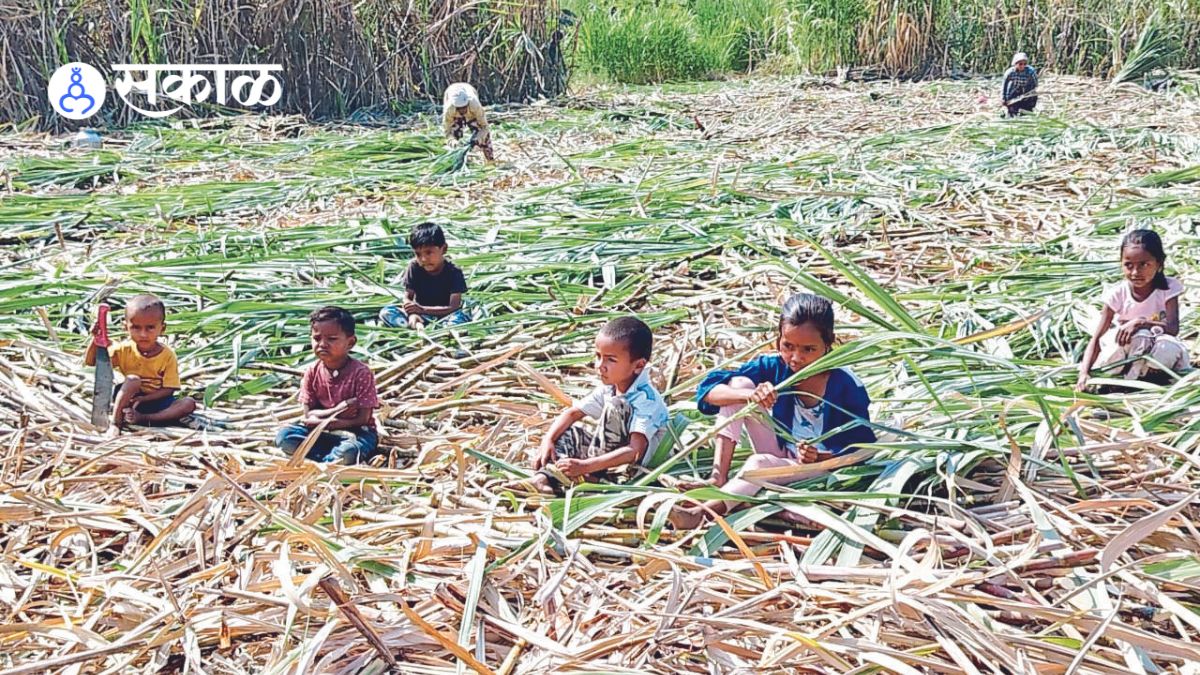 Sugarcane Workers Children