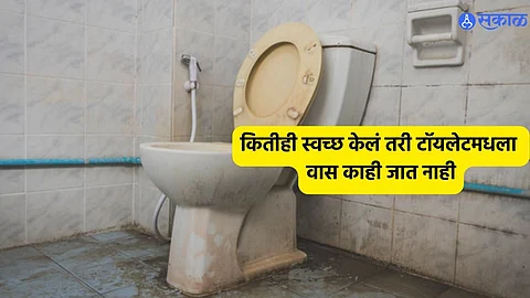 Toilet Cleaning