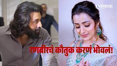 Ranbir Kapoor Animal Movie Actress Trisha Krishnan