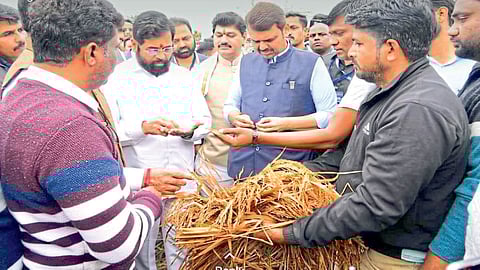 winter session cm and dcm shinde-fadnavis inspected crop damage area nagpur