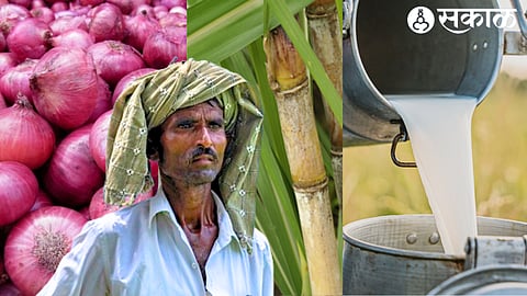 farmers in trouble over Onion sugarcane and milk farmers
