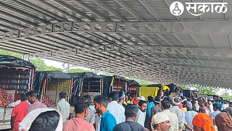 Onion auction held on Wednesday in the market committee.