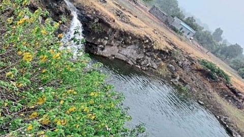 Sakal Impact