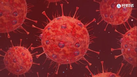 COVID-19 Jn.1 Variant