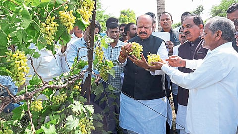 Sangli Guardian Minister Suresh Khade