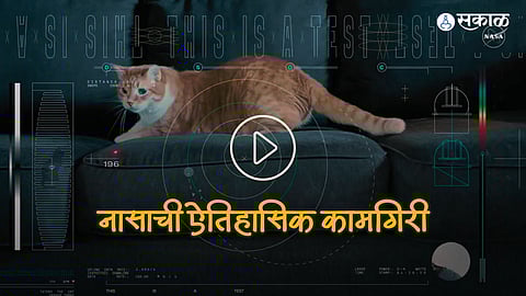 NASA Cat Video