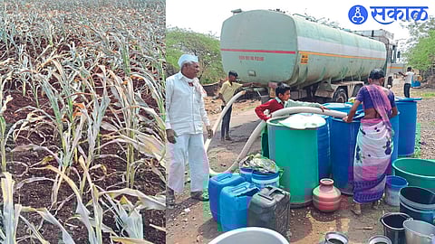 Crops cut in fields due to drought. In the second picture, the water supply by tankers has been going on since April.