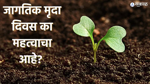 World Soil Day 2023: 5 डिसेंबरला 'जागतिक मृदा दिवस' का साजरा केला जातो? जाणून घ्या