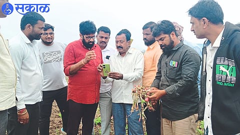 Colonel Chiman Chavan while informing the President of Divyang Welfare State Committee Bachu Kadu about the crop damage on Monday. Neighbors Akshay Makune, Ganesh Nimbalkar etc.