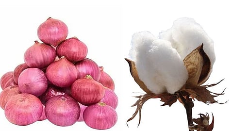 cotton and onion problm