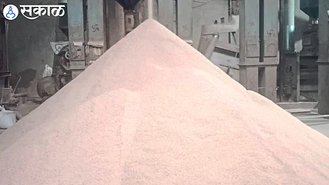Indrayani rice of Igatpuri fetches highest price nashik news