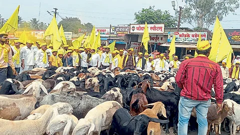 sangli