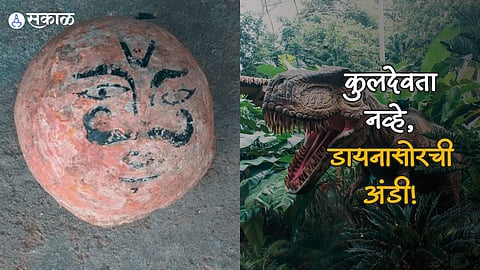 Madhya Pradesh Dinosaur Eggs