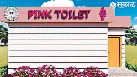 A conceptual picture of a 'pink toilet' for women proposed to be built in the city.