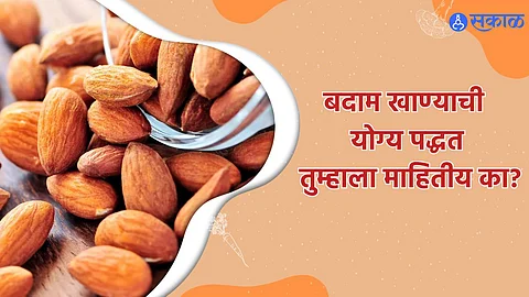 Almond Benefits : बदाम खाण्याची योग्य पद्धत तुम्हाला माहितीय का? 