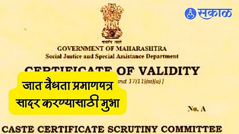 Caste Validity: स्थानिक स्वराज्य संस्थांच्या सदस्यांना दिलासा! जात वैधता प्रमाणपत्रांसाठी देण्यात आली इतकी मुदत