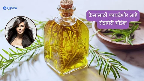 Rosemary Oil for Hairs