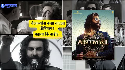 Animal Twitter Review: