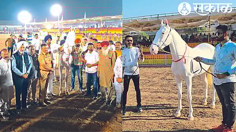 Sub-Divisional Police Officer Datta Pawar, Chetak Festival President Jaipalsinh Rawal, Sarpanch Prithviraj Singh Rawal and dignitaries along with Sardarji horse of Rajasthan, the winner of horse beauty contest at Chetak Festival.