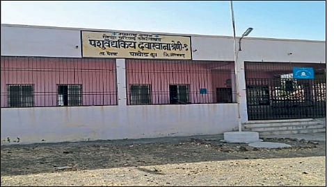 Sambhaji Nagar News : पाचोडचा पशुवैद्यकीय दवाखाना नावालाच