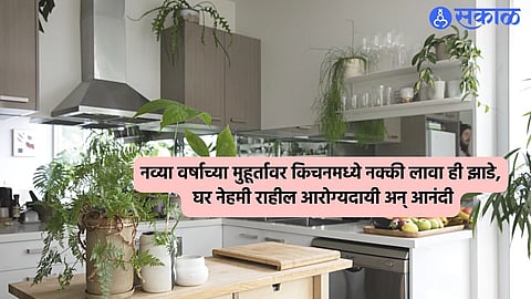 Vastu Tips