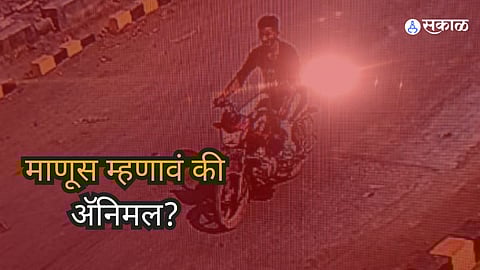 Solapur Crime: शेतीच्या वादातून सोलापुरात भीषण कांड; चुलत्याचं शीर हातात घेऊन बाईकवरुन फिरत होता तरुण